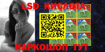 бошки Будённовск