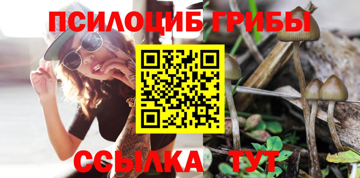 Мегион  Псилоцибиновые грибы GOLDEN TEACHER  Вход с VPN  Галлюциногенные грибы мухоморы 